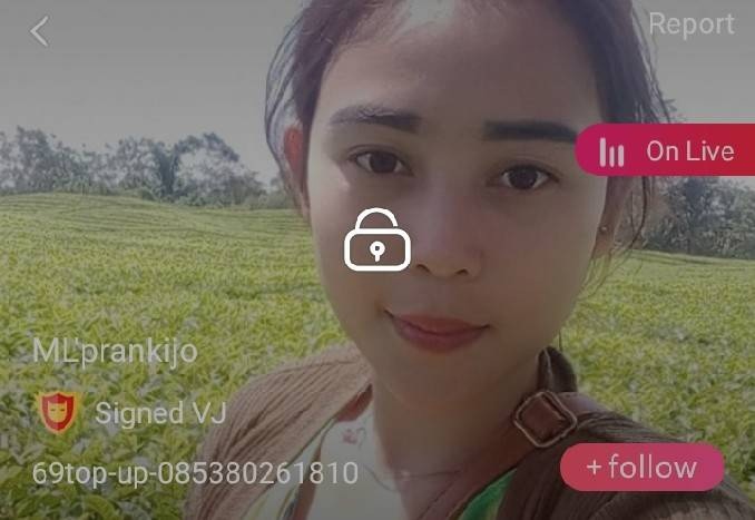 ML prankijo mlive