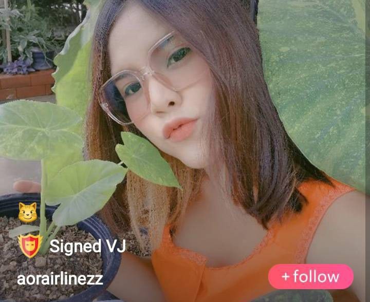 aorairlinezz mlive