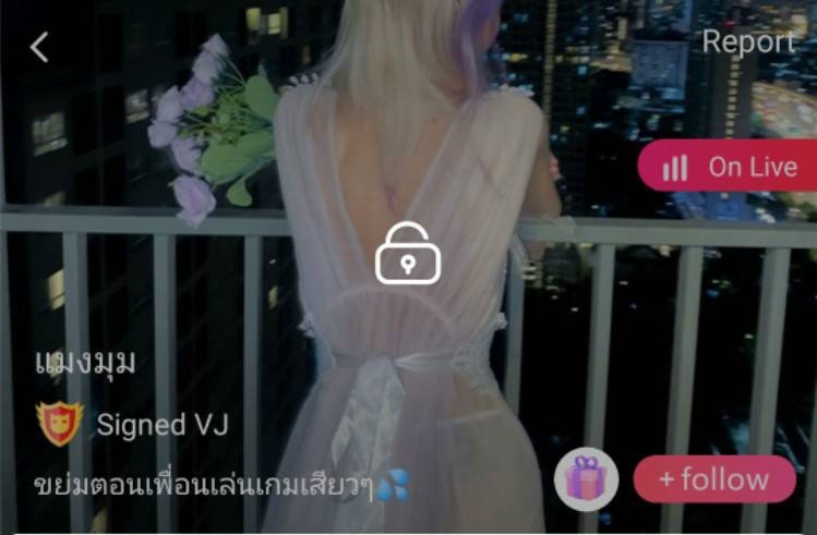 แมงมุม mlive