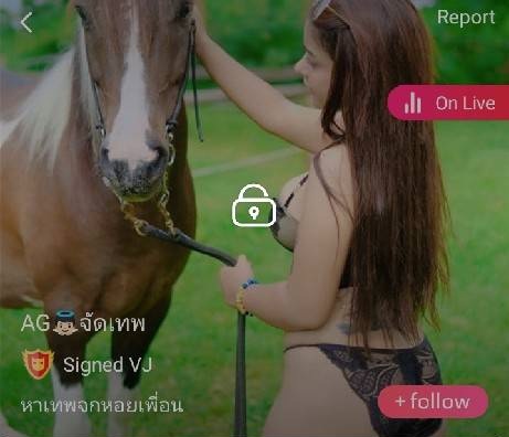 จัดเทพ หาเทพจกหอยเพื่อน mlive