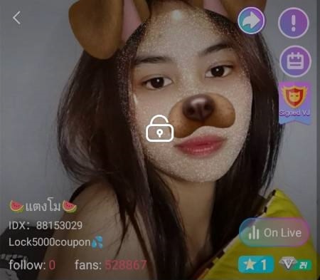 แตงโม IDX 88153029 mlive