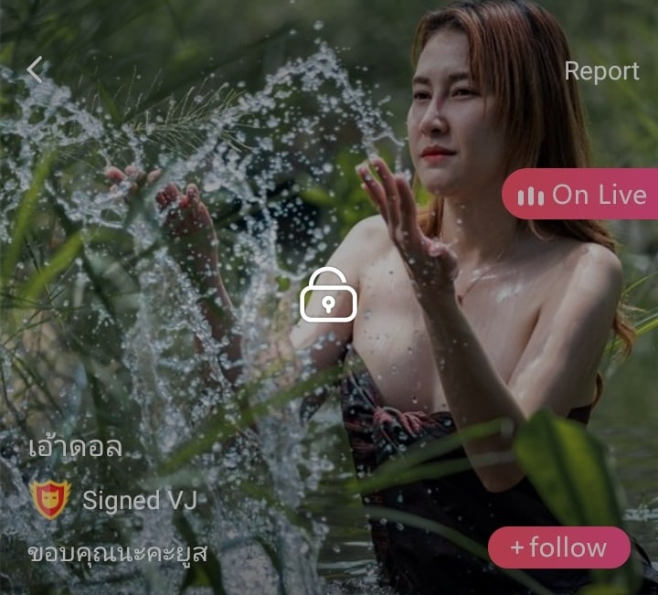 เอ้าดอล mlive